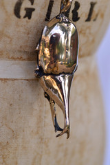 beetle necklace